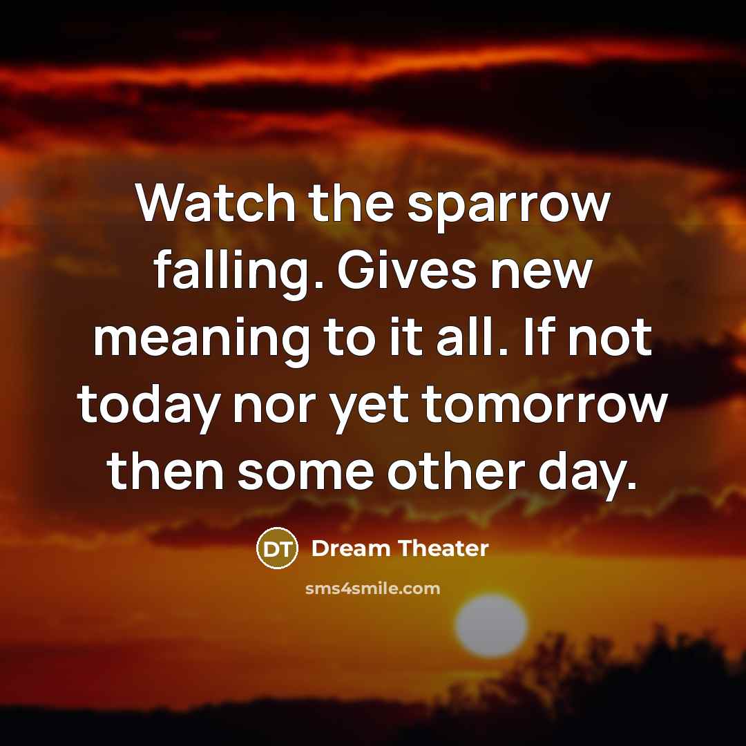 “Watch the sparrow falling. Gives new meaning to it all.…” quote by Dream Theater
