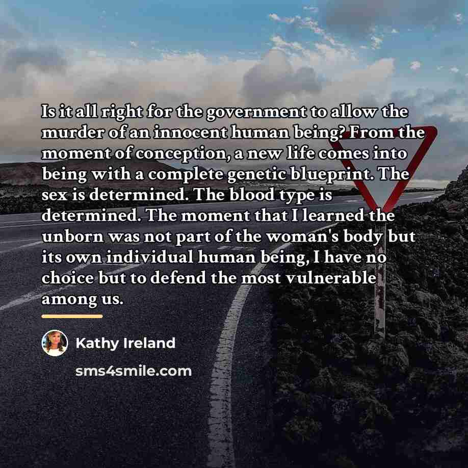 “Is it all right for the government to allow the…” quote by Kathy Ireland