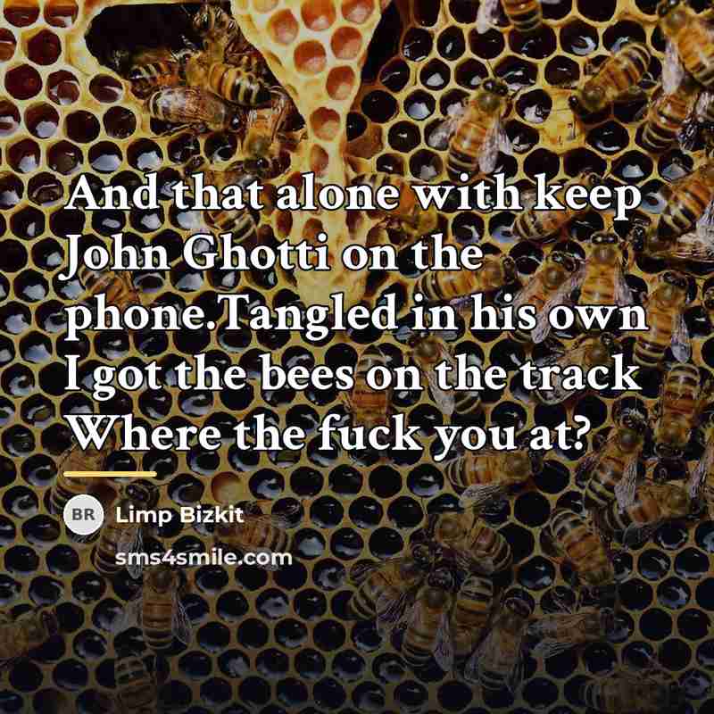 “And that alone with keep John Ghotti on the phone.Tangled…” quote by Limp Bizkit