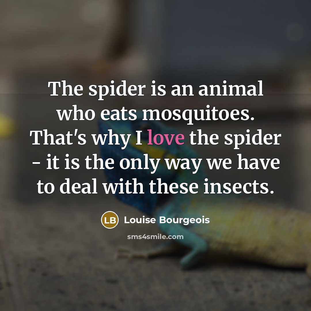 “The spider is an animal who eats mosquitoes. That's why…” quote by Louise Bourgeois