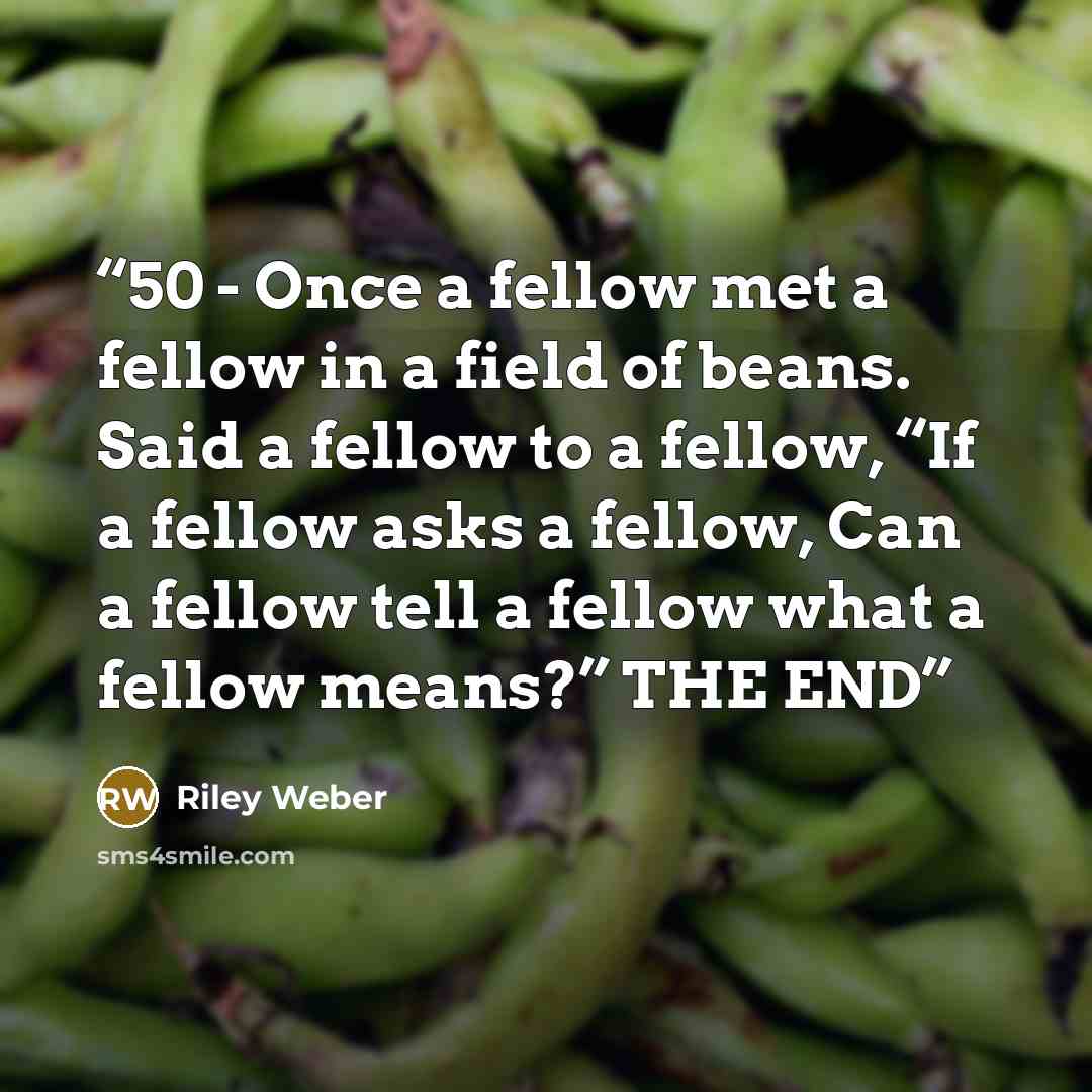 “50 - Once a fellow met a fellow in a field of beans. Said a fellow to a fellow, “If a fellow asks a fellow, Can a fellow tell a fellow what a fellow means?” THE END” quote by Riley Weber