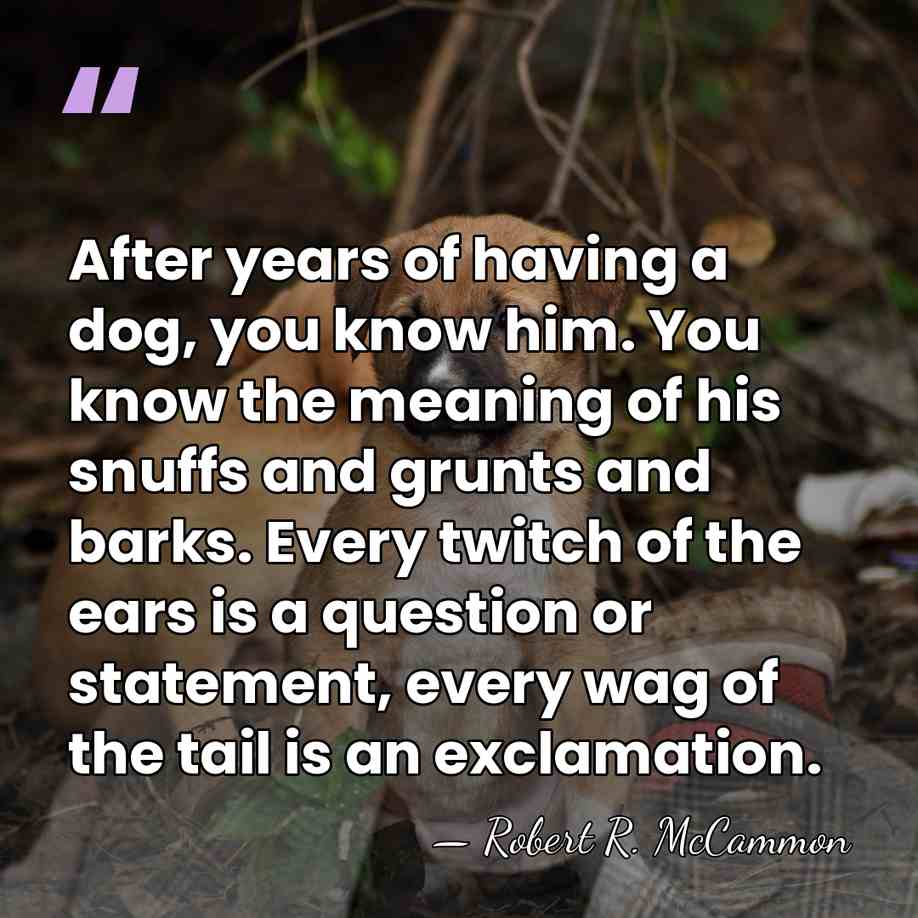 After years of having a dog, you know him. You know the&hellip; - Robert R. McCammon