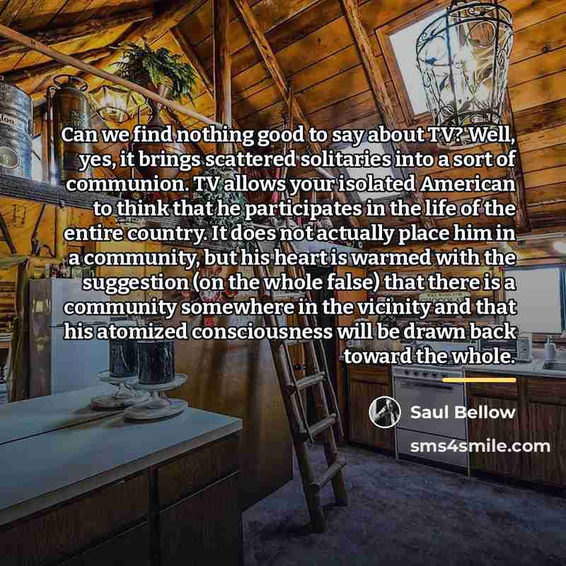 “Can we find nothing good to say about TV? Well,…” quote by Saul Bellow
