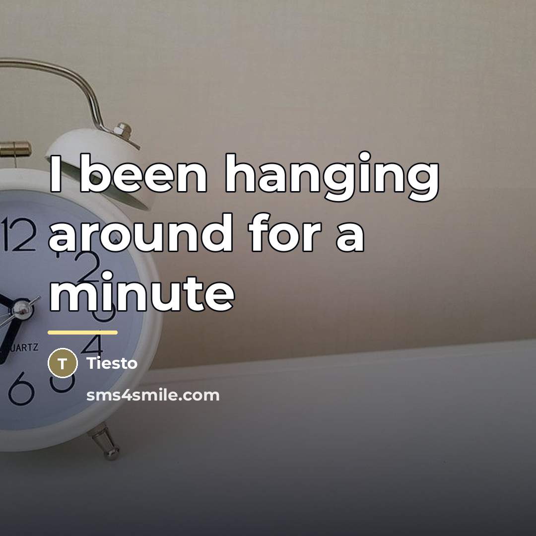 “I been hanging around for a minute…” quote by Tiesto