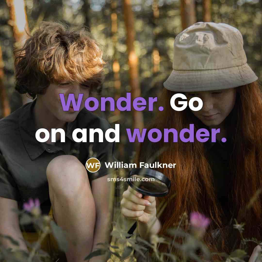 “Wonder. Go on and wonder.…” quote by William Faulkner