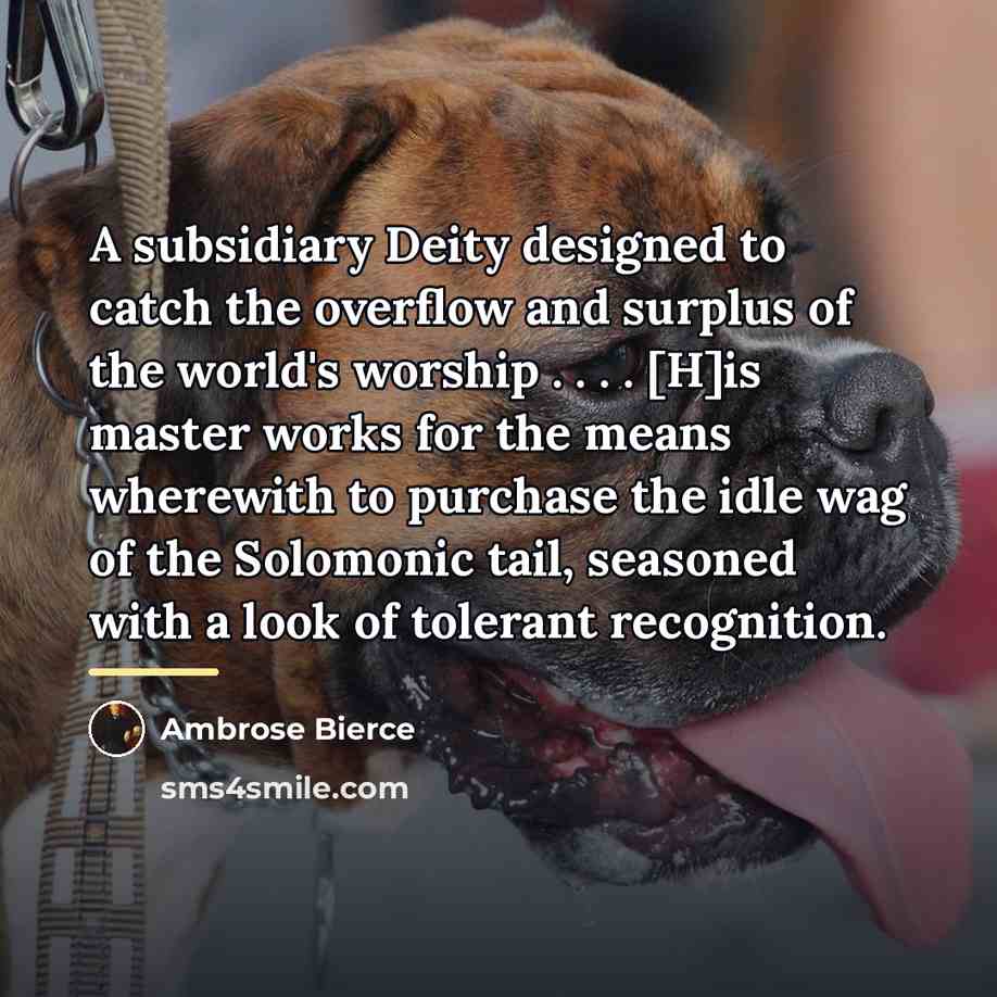 “A subsidiary Deity designed to catch the overflow and surplus…” quote by Ambrose Bierce