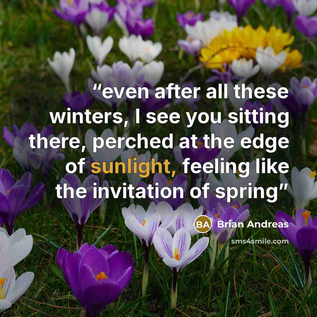 “even after all these winters, I see you sitting there, perched at the edge of sunlight, feeling like the invitation of spring” quote by Brian Andreas