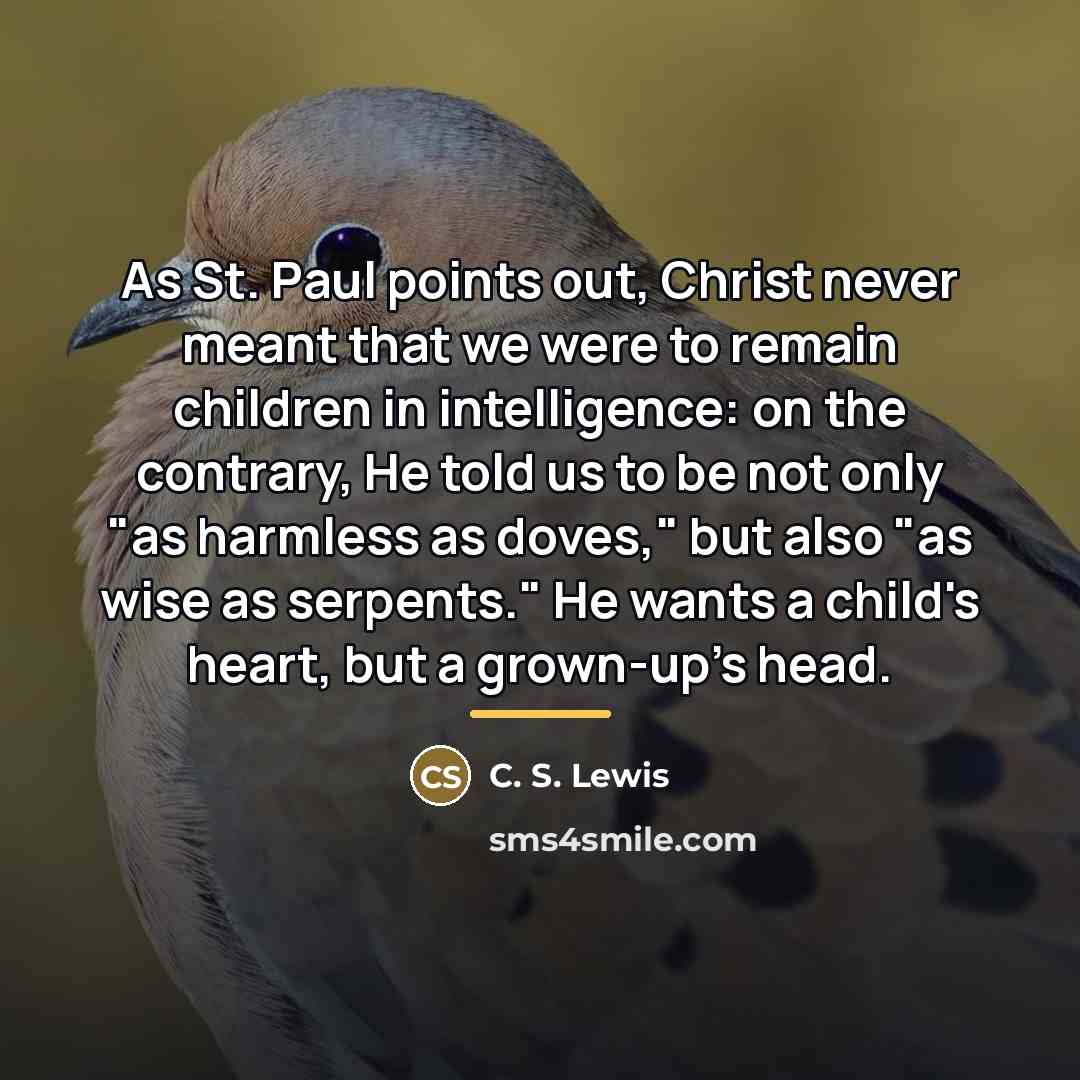 “As St. Paul points out, Christ never meant that we…” quote by C. S. Lewis