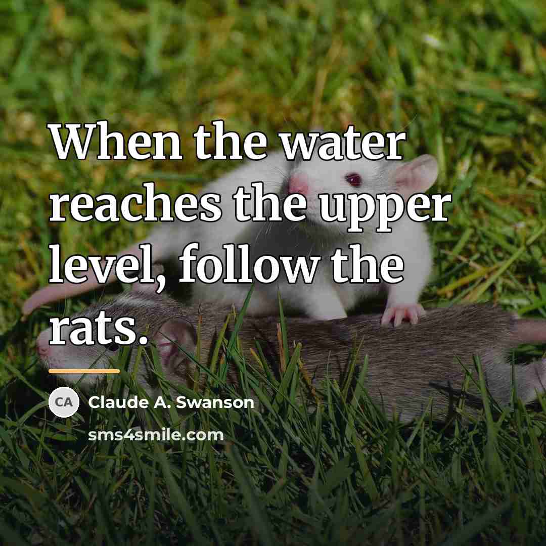 “When the water reaches the upper level, follow the rats.…” quote by Claude A. Swanson