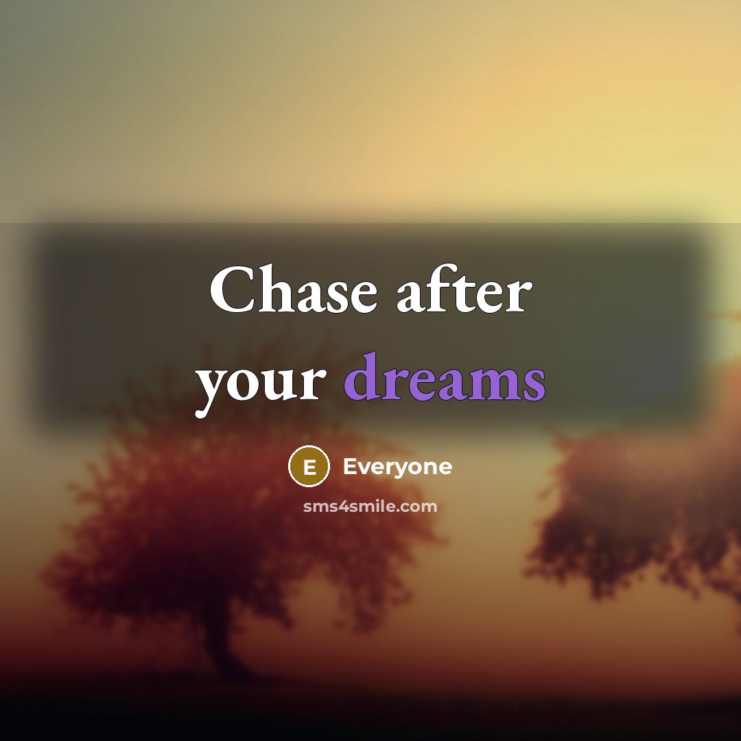 “Chase after your dreams…” quote by Everyone