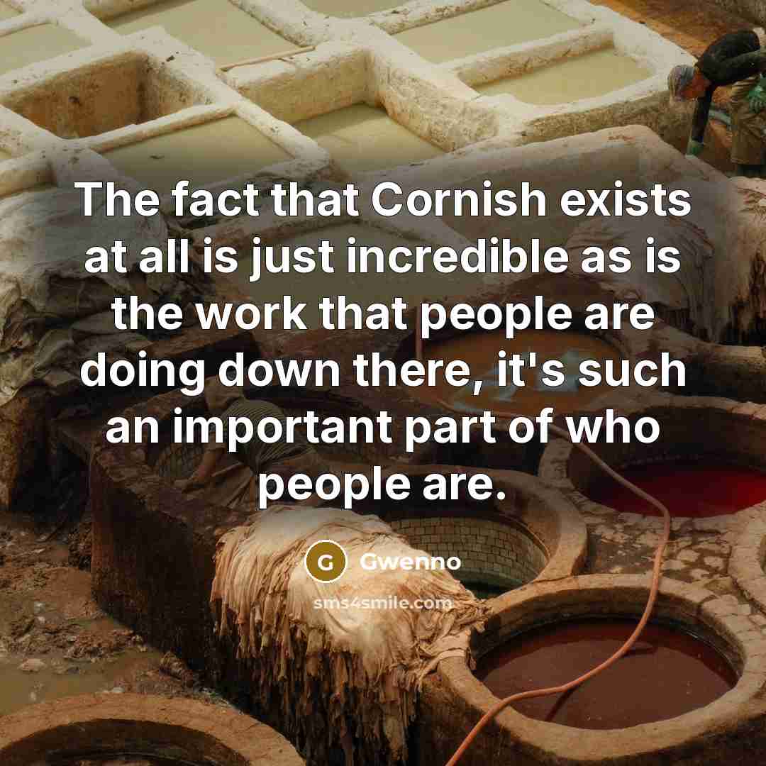 “The fact that Cornish exists at all is just incredible…” quote by Gwenno