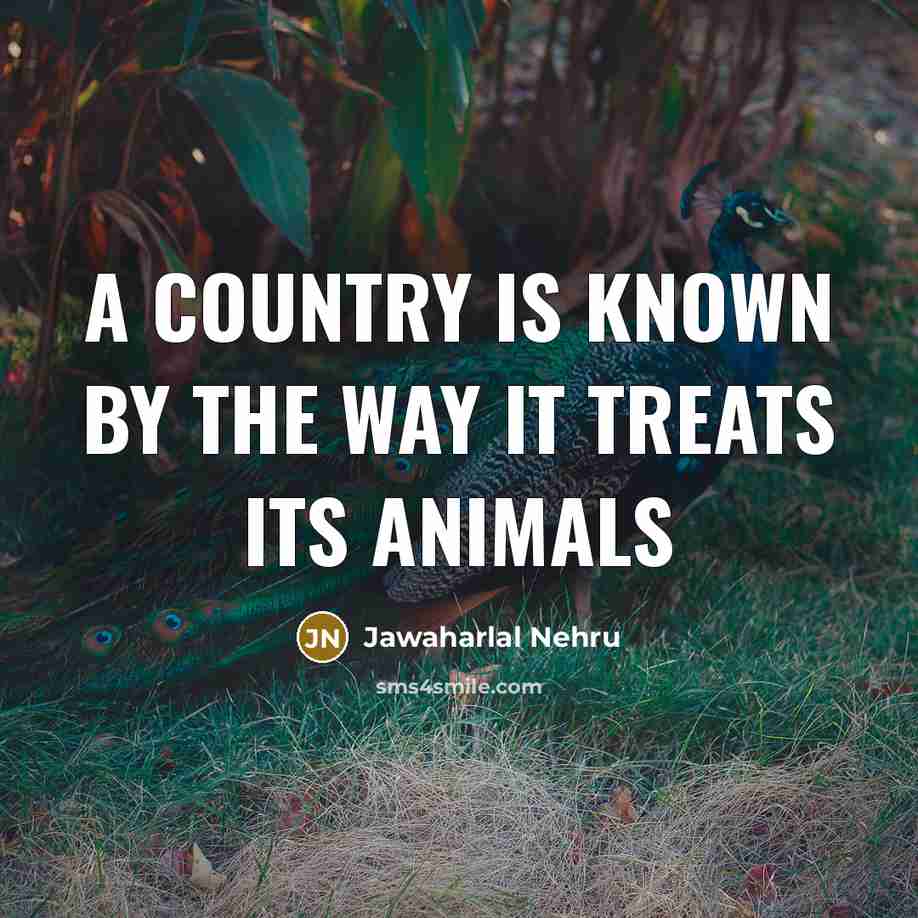 “A country is known by the way it treats its…” quote by Jawaharlal Nehru