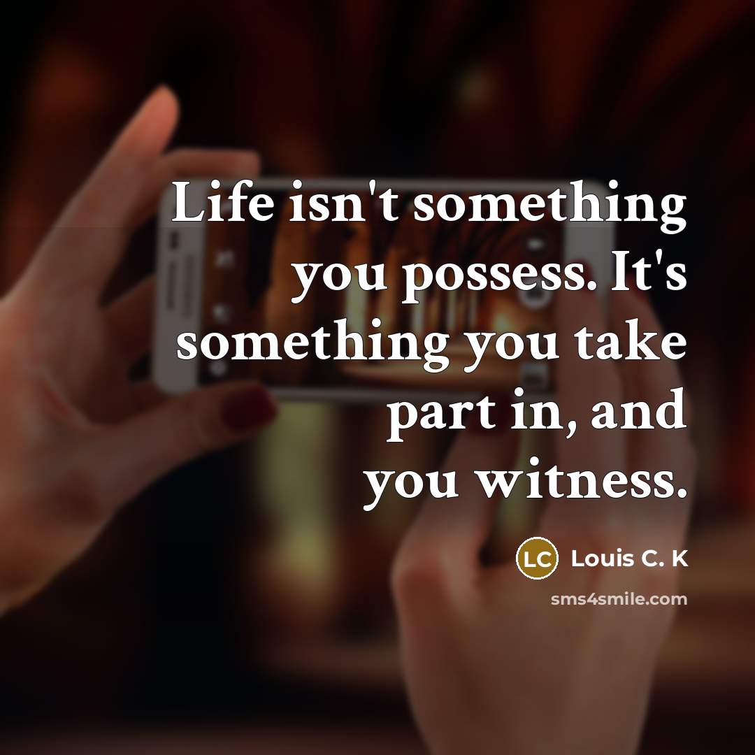 “Life isn't something you possess. It's something you take part…” quote by Louis C. K