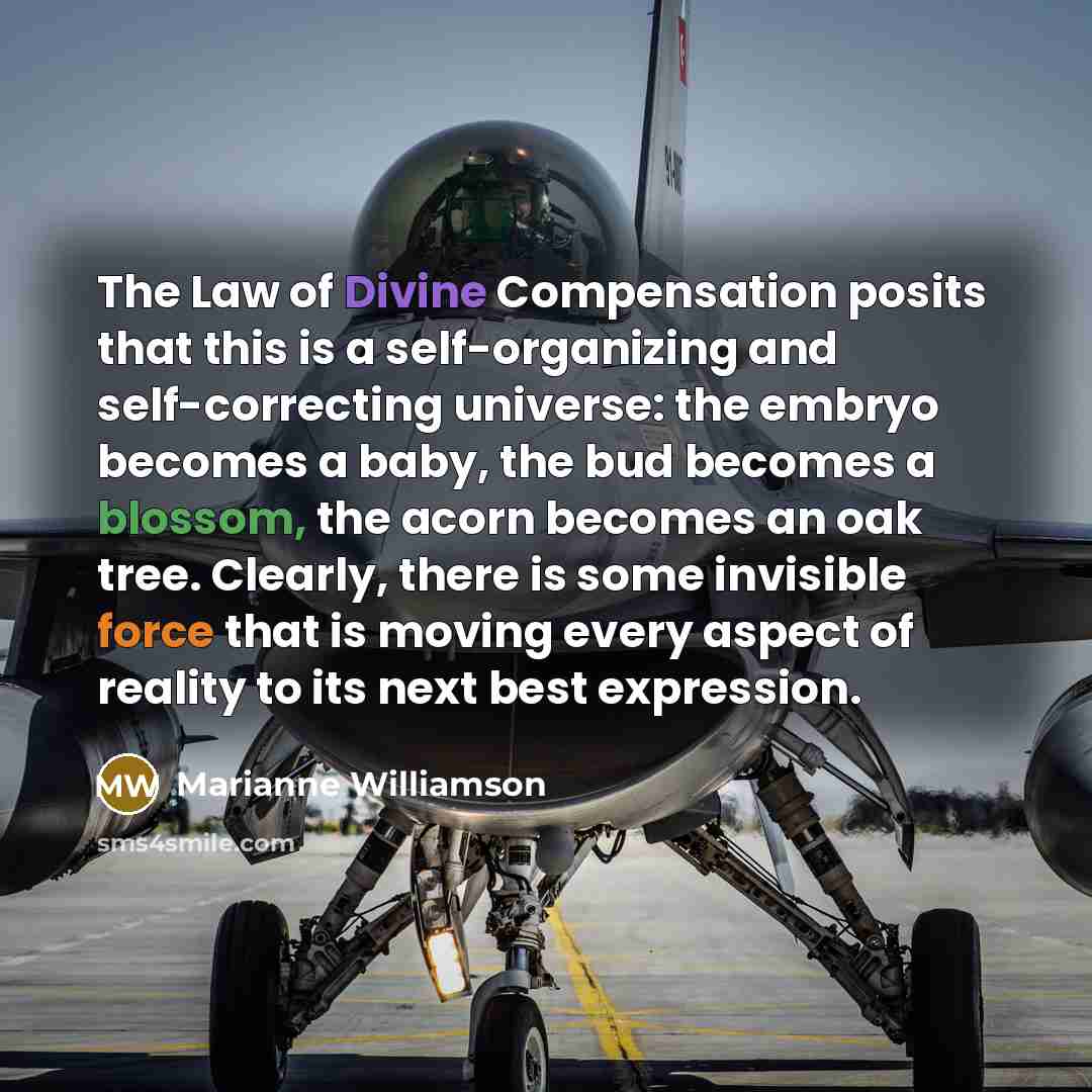“The Law of Divine Compensation posits that this is a…” quote by Marianne Williamson