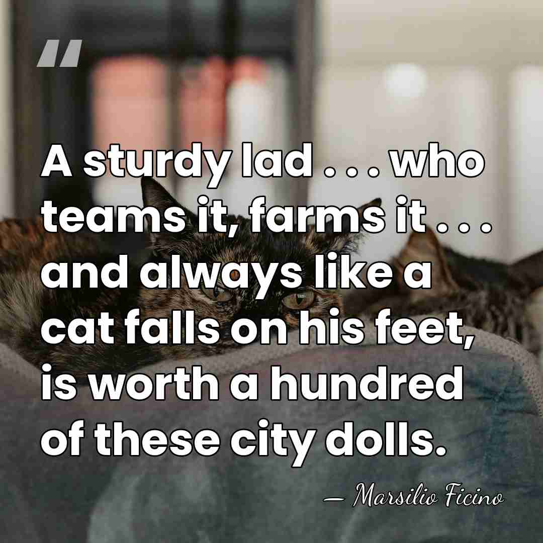 A sturdy lad . . . who teams it, farms it .&hellip; - Marsilio Ficino