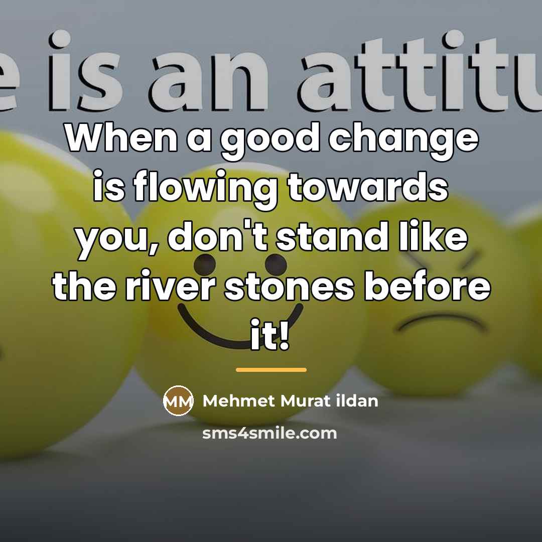 “When a good change is flowing towards you, don't stand…” quote by Mehmet Murat Ildan