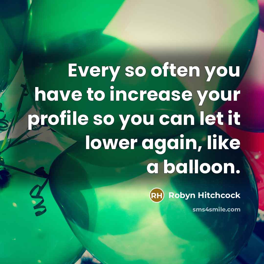 “Every so often you have to increase your profile so…” quote by Robyn Hitchcock