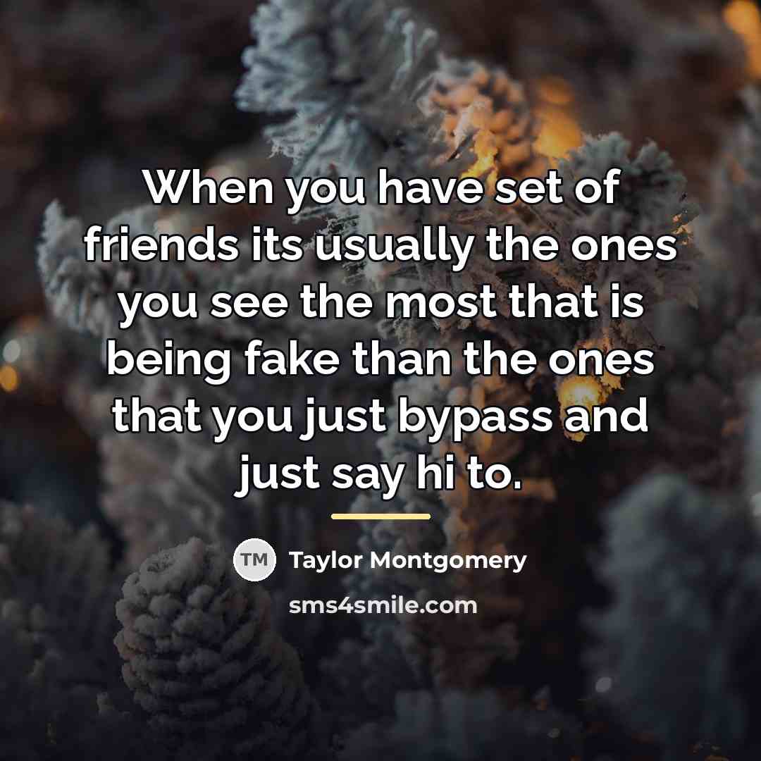 “When you have set of friends its usually the ones…” quote by Taylor Montgomery