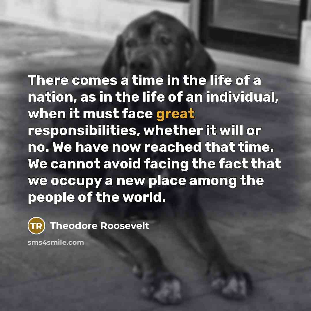 “There comes a time in the life of a nation,…” quote by Theodore Roosevelt