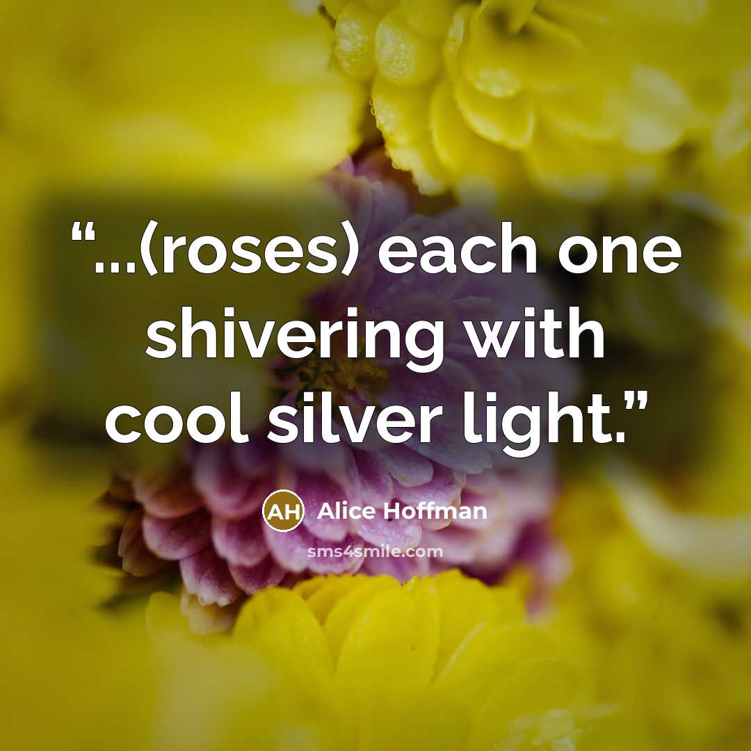 “...(roses) each one shivering with cool silver light.” quote by Alice Hoffman
