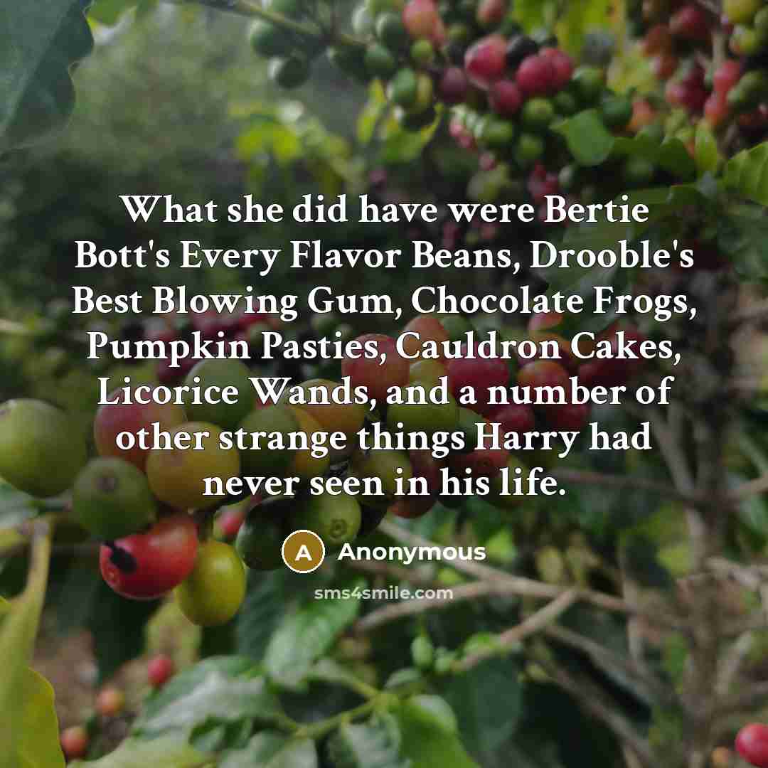 “What she did have were Bertie Bott's Every Flavor Beans,…” quote by Anonymous