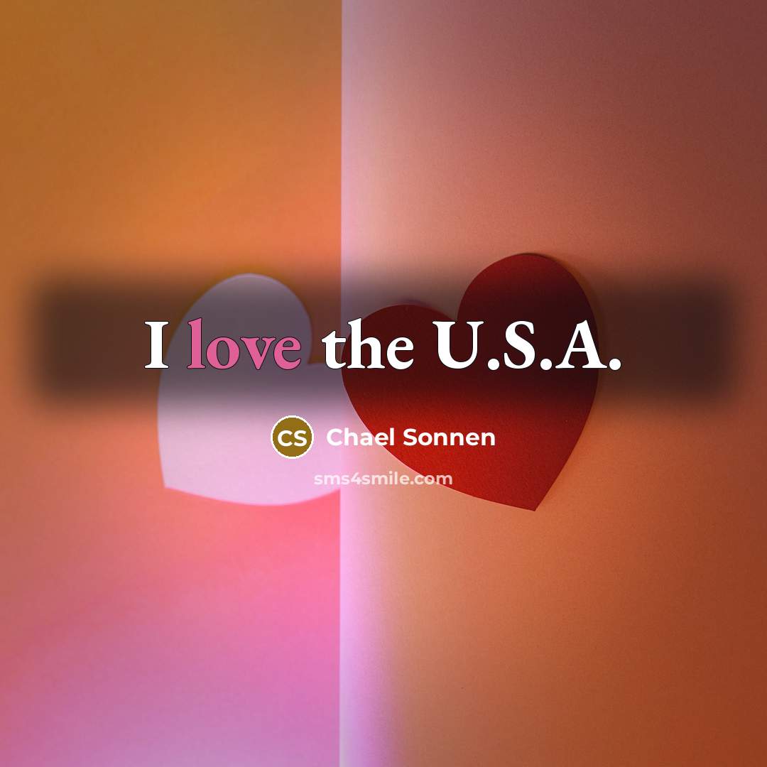“I love the U.S.A.…” quote by Chael Sonnen