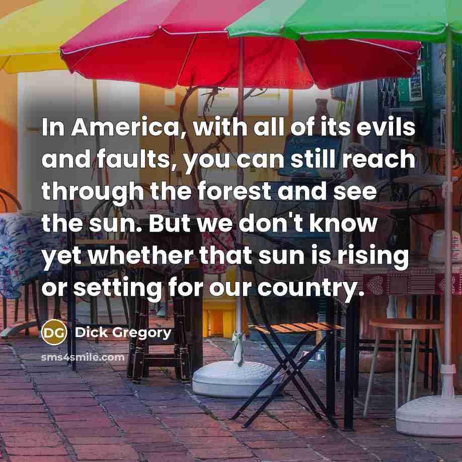 “In America, with all of its evils and faults, you…” quote by Dick Gregory