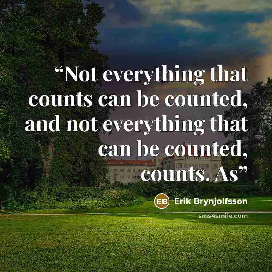 “Not everything that counts can be counted, and not everything that can be counted, counts. As” quote by Erik Brynjolfsson
