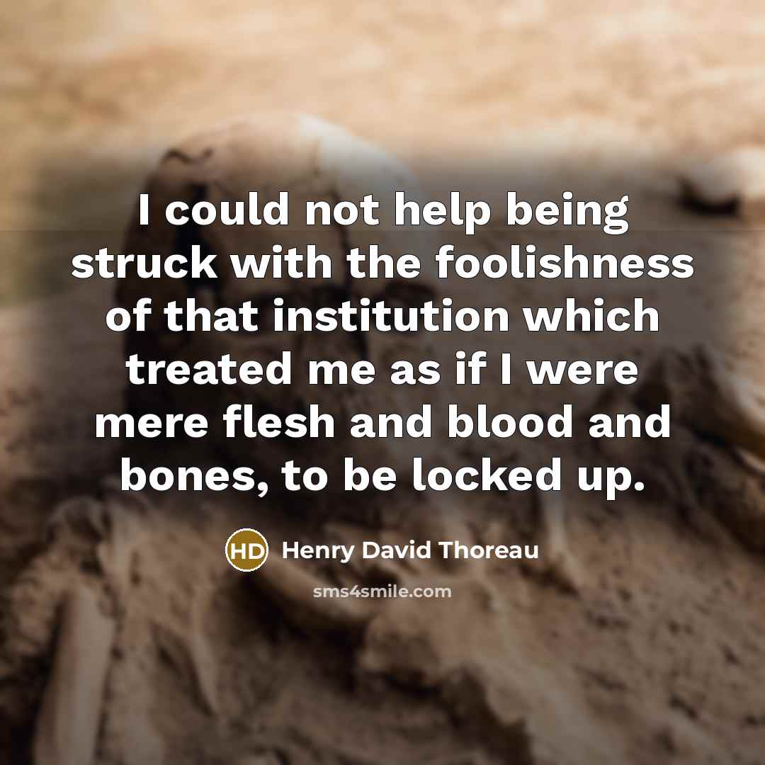“I could not help being struck with the foolishness of…” quote by Henry David Thoreau