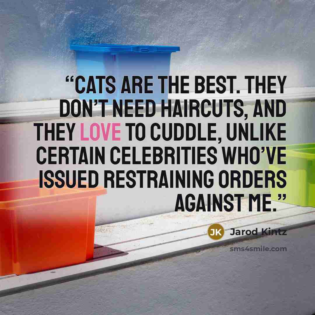 “Cats are the best. They don’t need haircuts, and they love to cuddle, unlike certain celebrities who’ve issued restraining orders against me.” quote by Jarod Kintz
