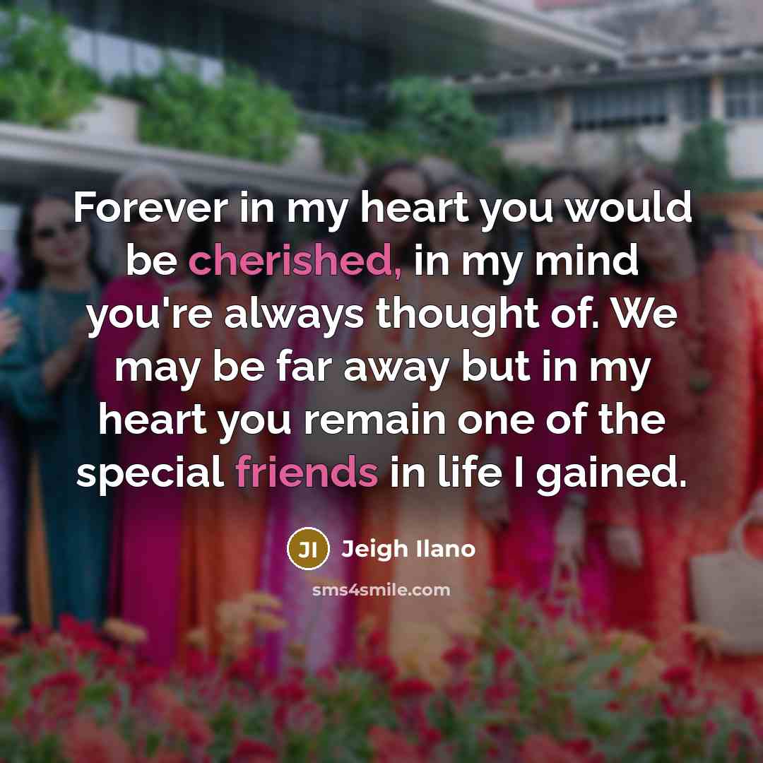 “Forever in my heart you would be cherished, in my mind you're always thought of. We may be far away but in my heart you remain one of the special friends in life I gained.” quote by Jeigh Ilano
