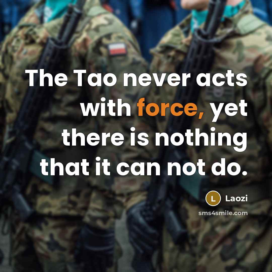 “The Tao never acts with force, yet there is nothing that it can not do.” quote by Laozi