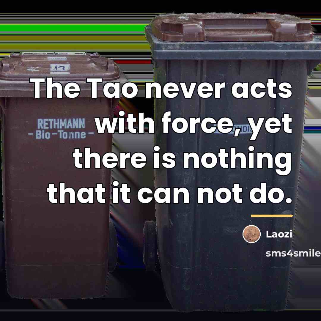 “The Tao never acts with force, yet there is nothing…” quote by Laozi