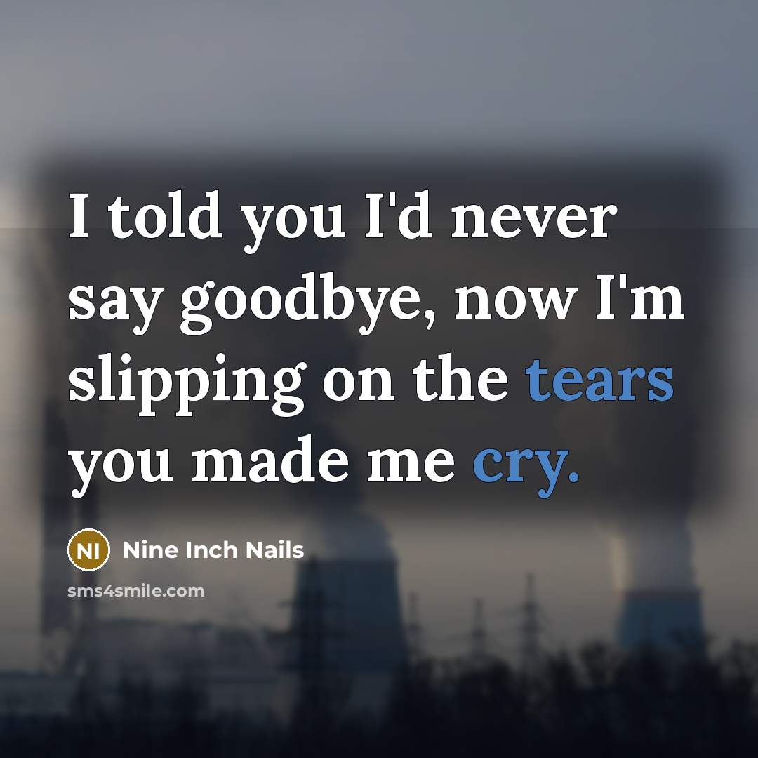 “I told you I'd never say goodbye, now I'm slipping on the tears you made me cry.” quote by Nine Inch Nails