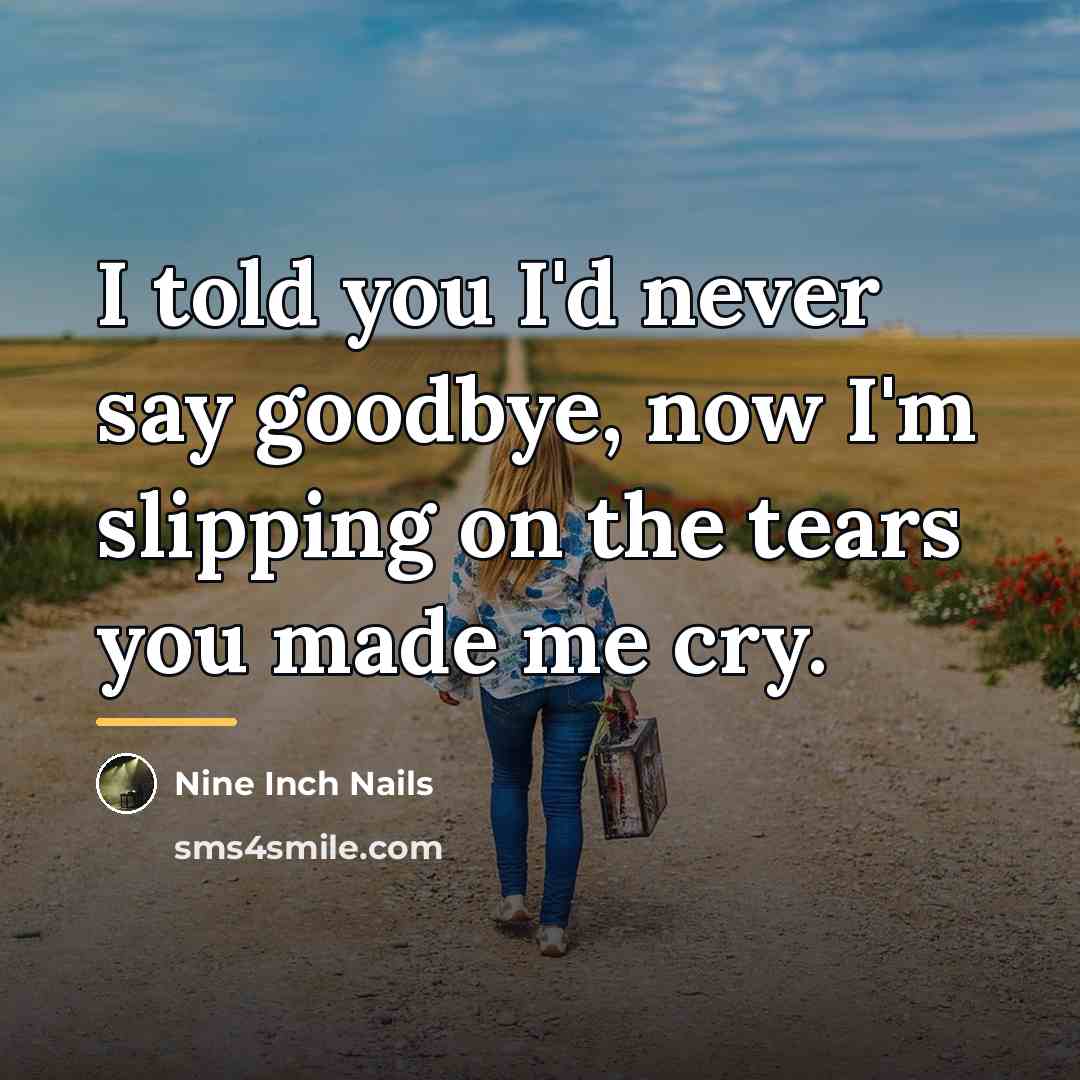 “I told you I'd never say goodbye, now I'm slipping…” quote by Nine Inch Nails