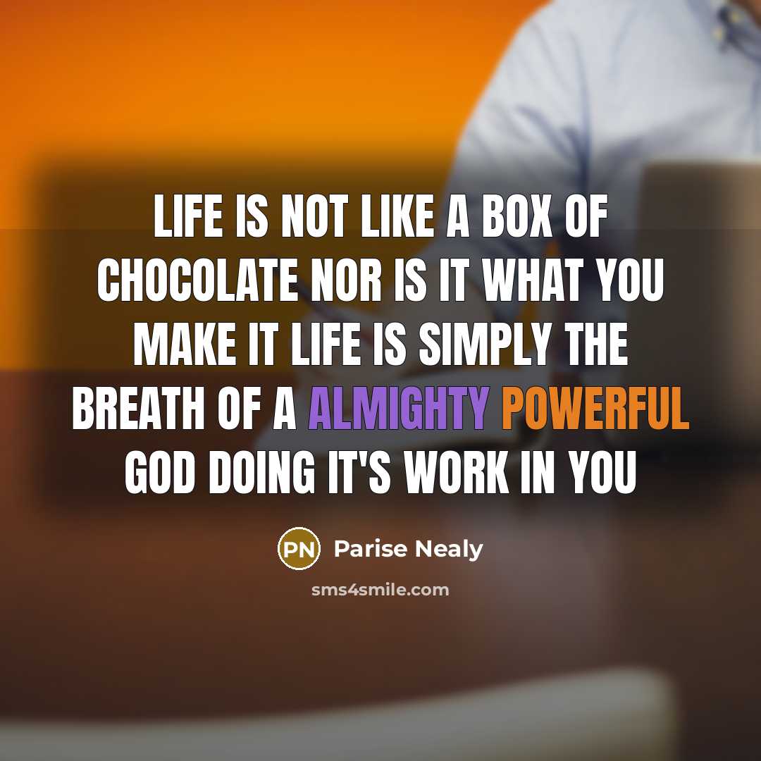 “Life is not like a box of chocolate nor is…” quote by Parise Nealy