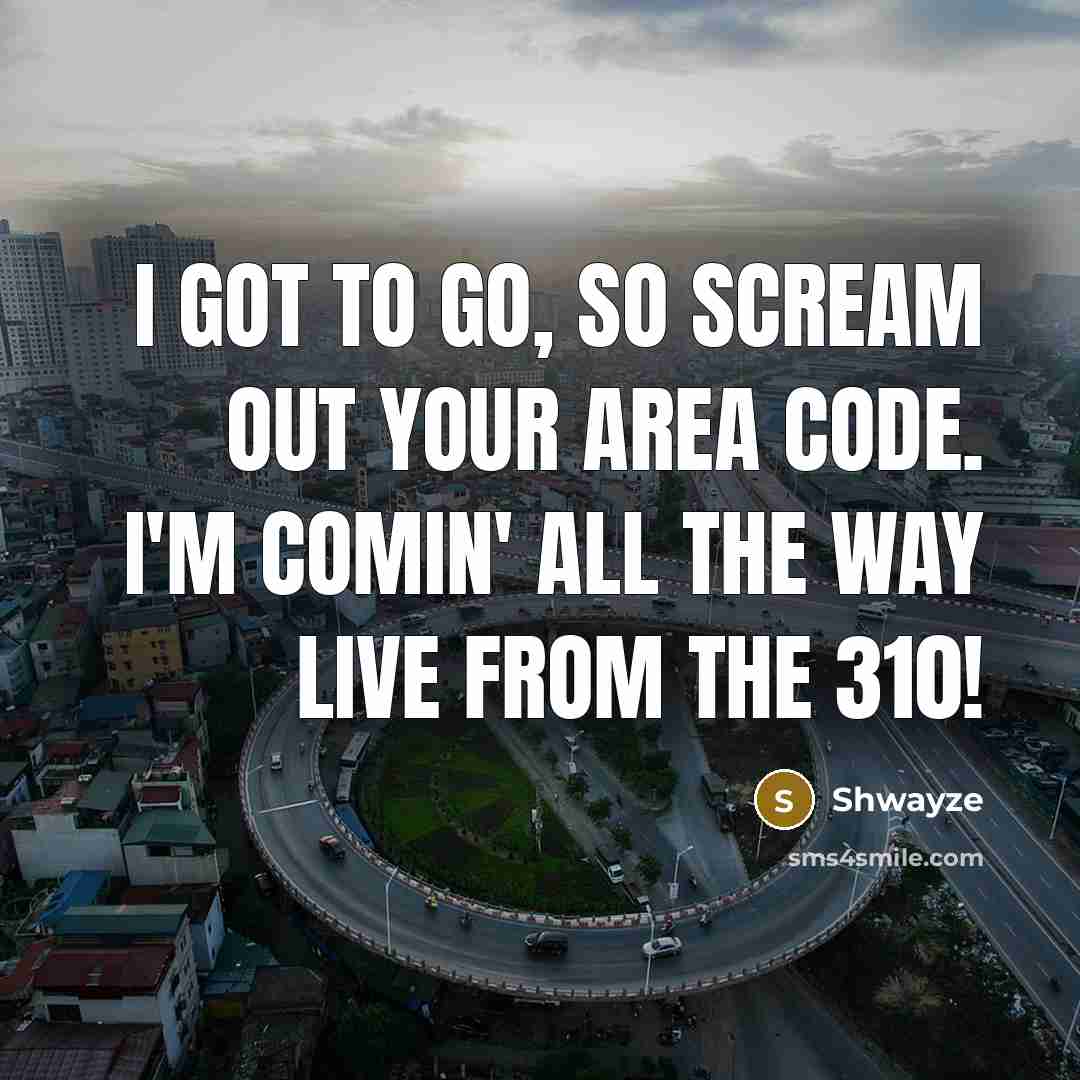 “I got to go, so scream out your area code. I'm comin' all the way live from the 310!” quote by Shwayze