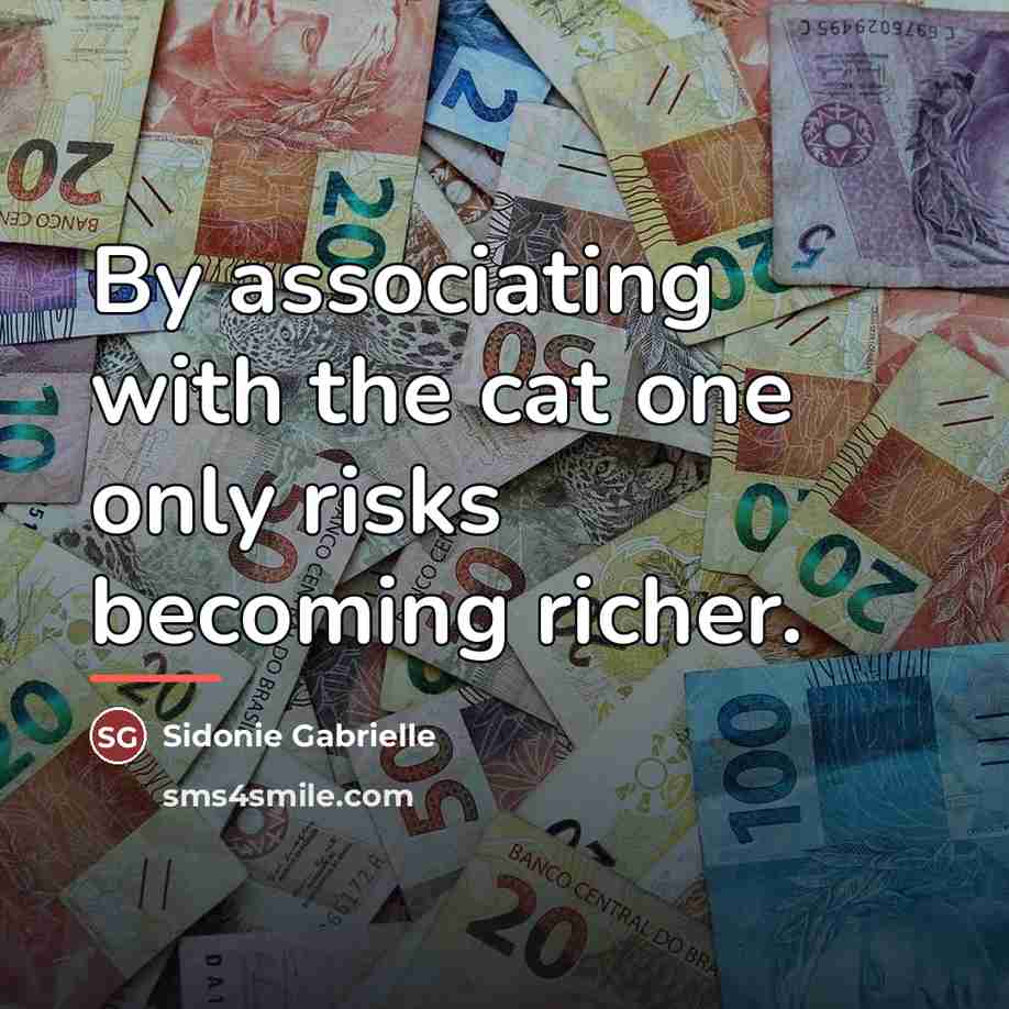 “By associating with the cat one only risks becoming richer.…” quote by Sidonie Gabrielle