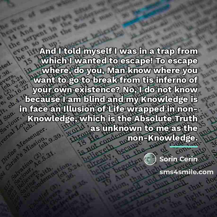 “And I told myself I was in a trap from…” quote by Sorin Cerin