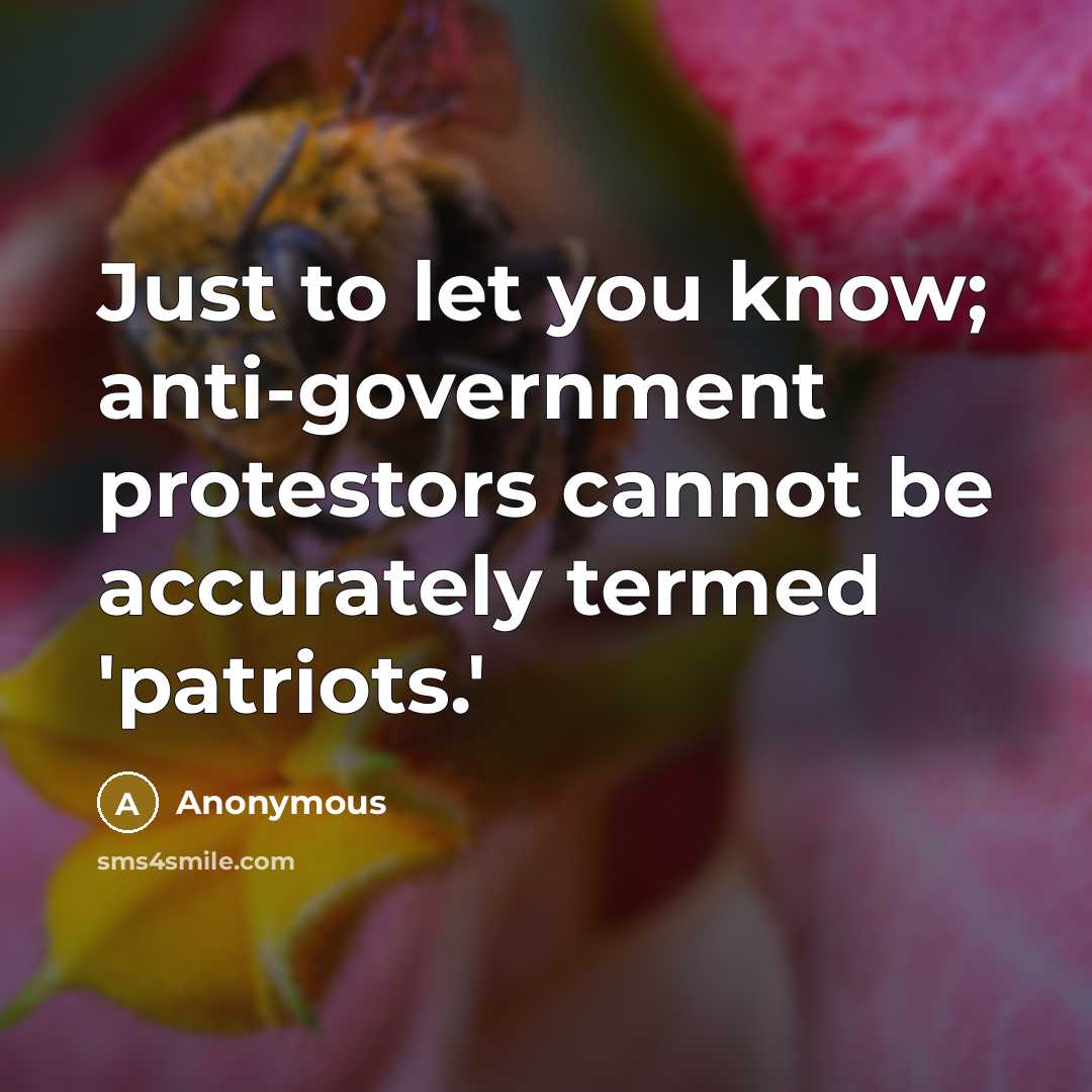 “Just to let you know; anti-government protestors cannot be accurately termed 'patriots.'” quote by Anonymous