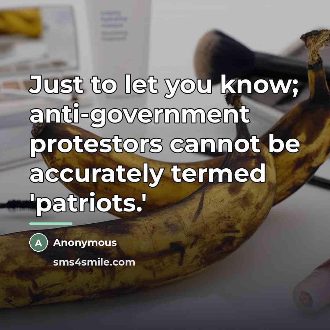 “Just to let you know; anti-government protestors cannot be accurately…” quote by Anonymous