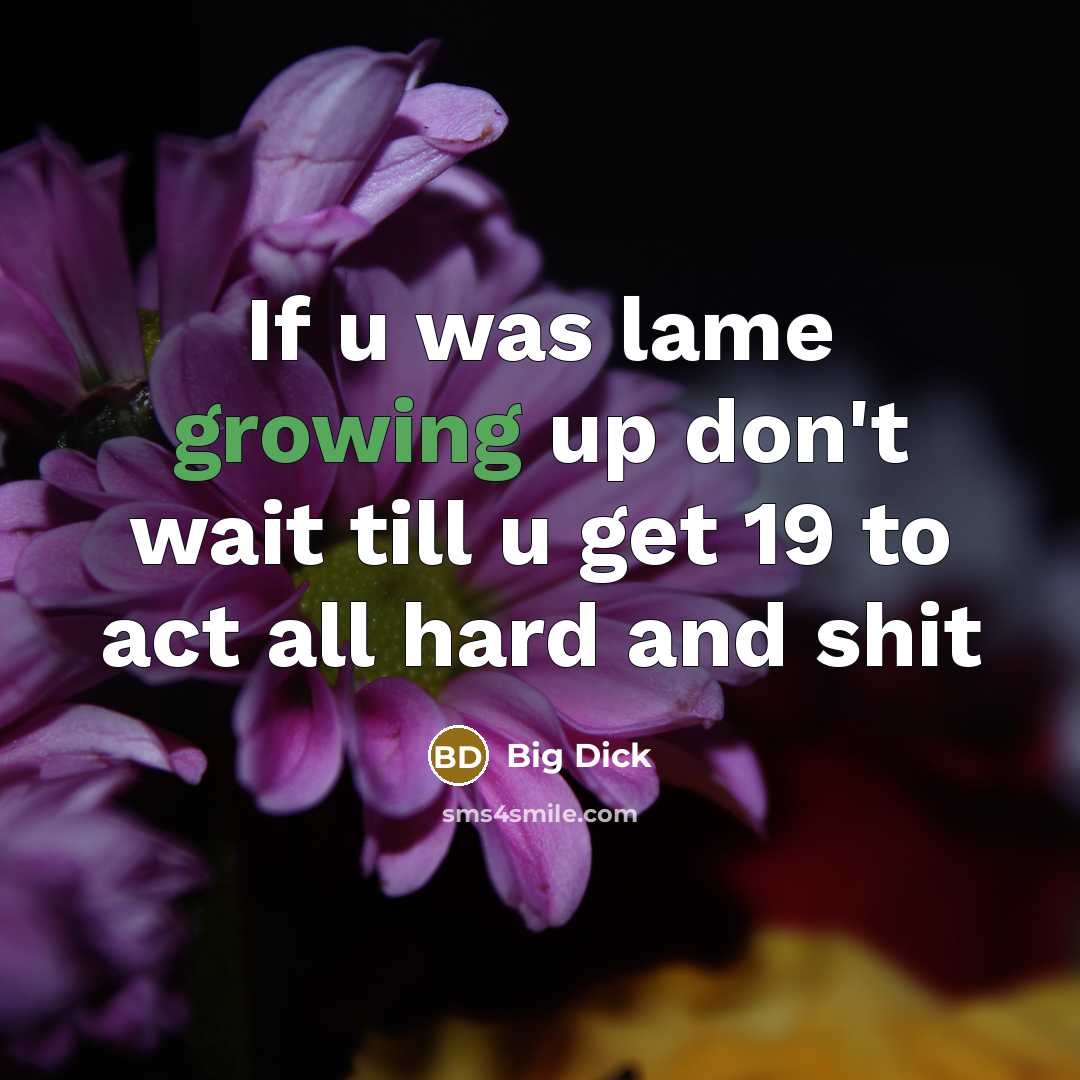 “If u was lame growing up don't wait till u get 19 to act all hard and shit” quote by Big Dick