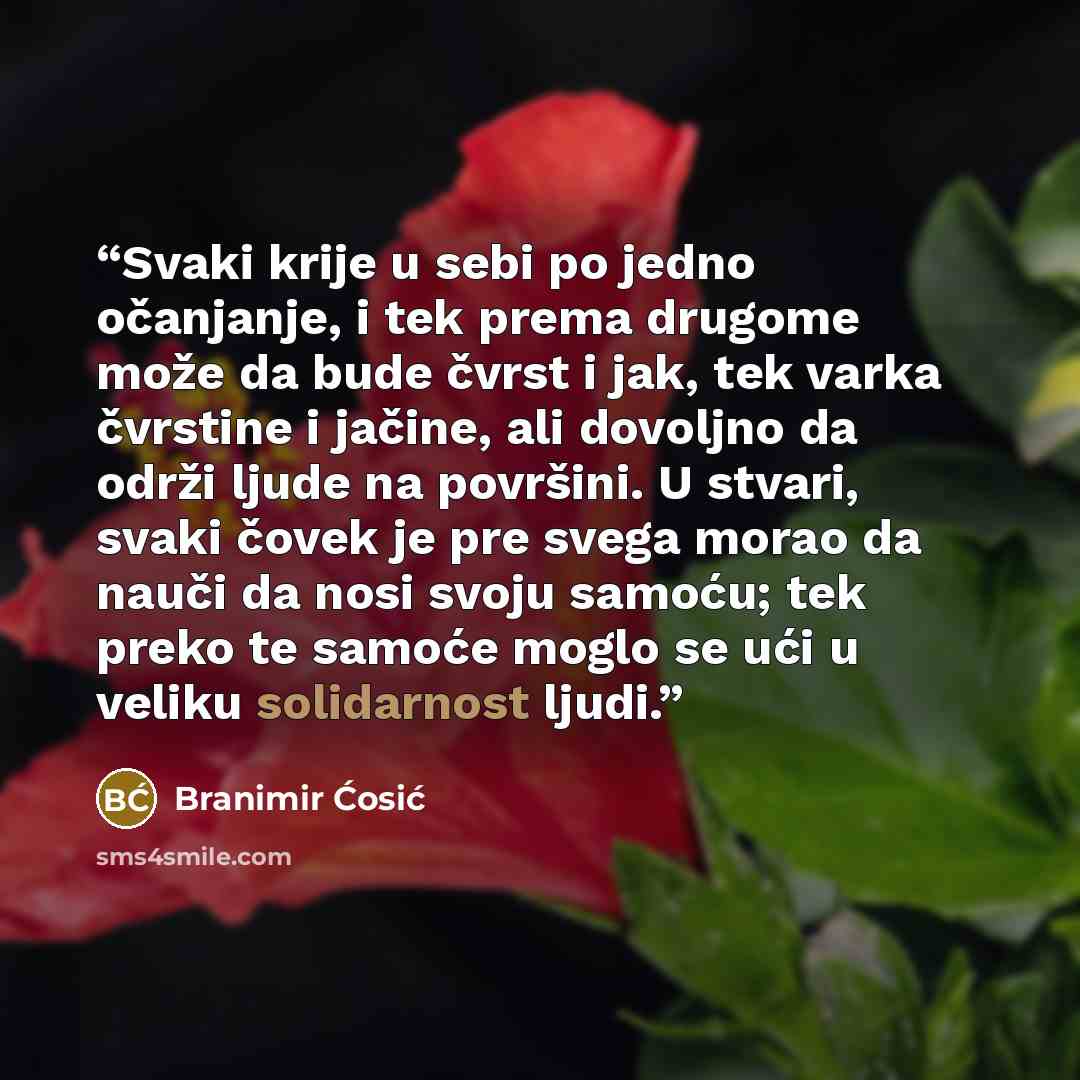 “Svaki krije u sebi po jedno očanjanje, i tek prema drugome može da bude čvrst i jak, tek varka čvrstine i jačine, ali dovoljno da održi ljude na površini. U stvari, svaki čovek je pre svega morao da nauči da nosi svoju samoću; tek preko te samoće moglo se ući u veliku solidarnost ljudi.” quote by Branimir Ćosić