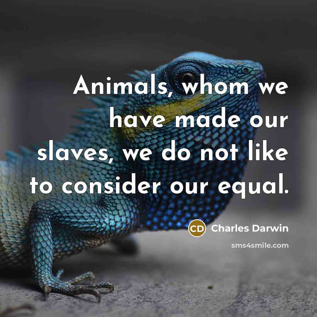 “Animals, whom we have made our slaves, we do not like to consider our equal.” quote by Charles Darwin