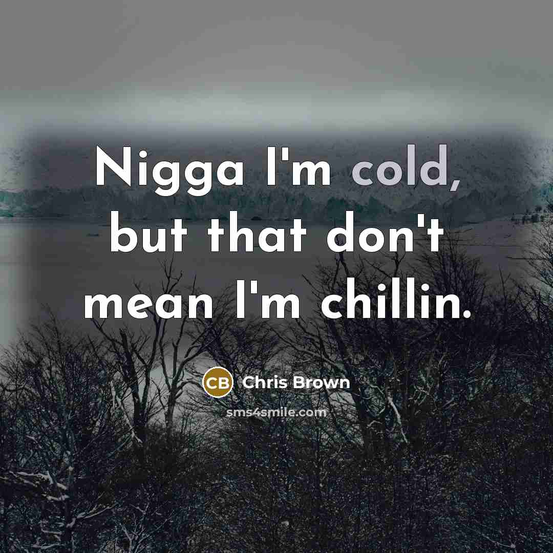 “Nigga I'm cold, but that don't mean I'm chillin.…” quote by Chris Brown