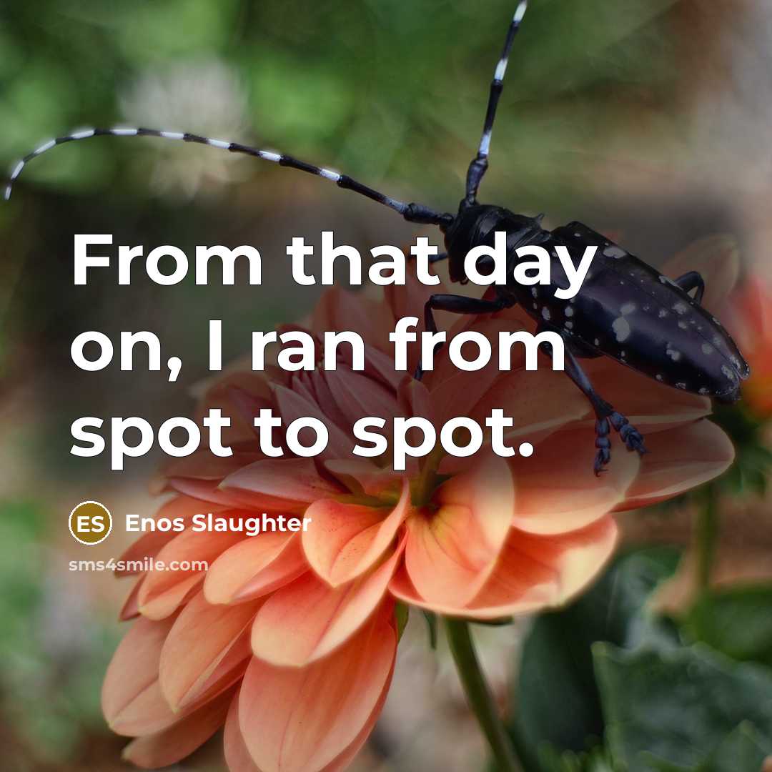“From that day on, I ran from spot to spot.…” quote by Enos Slaughter