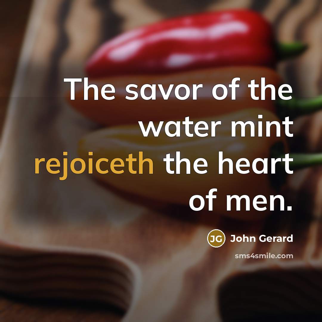 “The savor of the water mint rejoiceth the heart of…” quote by John Gerard