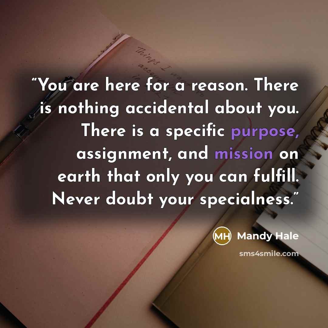“You are here for a reason. There is nothing accidental about you. There is a specific purpose, assignment, and mission on earth that only you can fulfill. Never doubt your specialness.” quote by Mandy Hale
