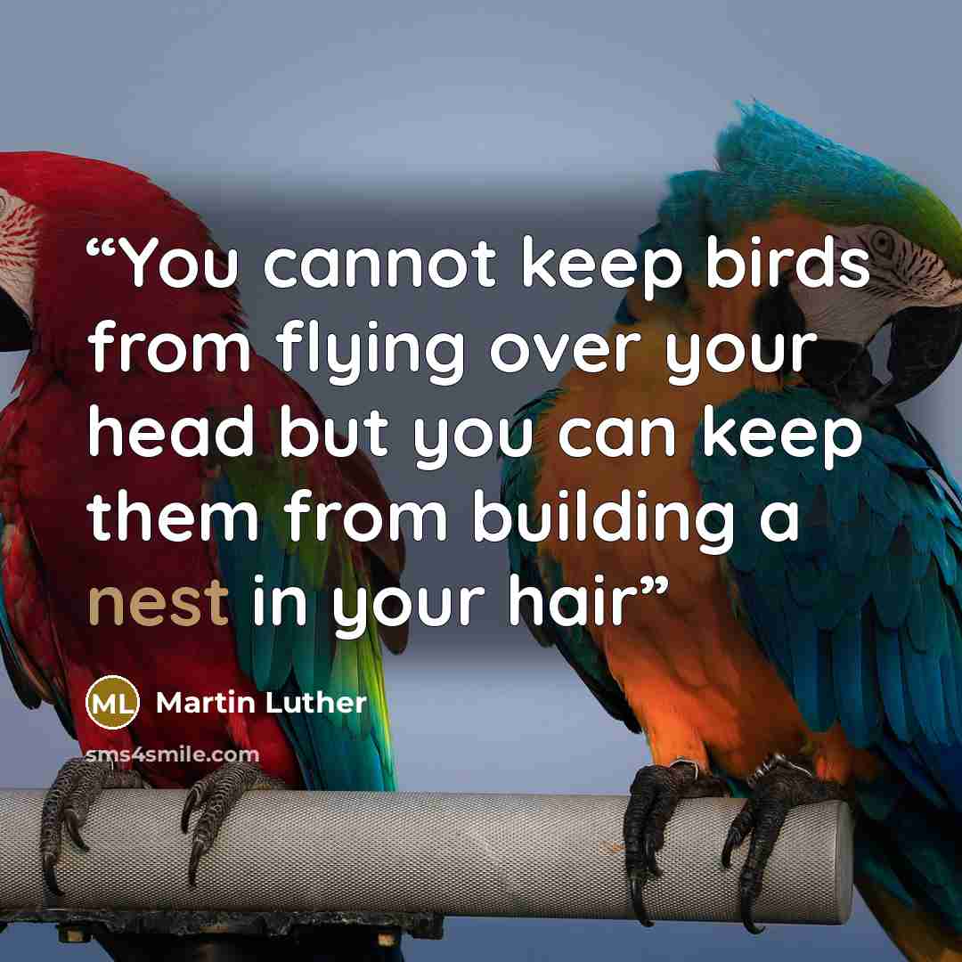 “You cannot keep birds from flying over your head but you can keep them from building a nest in your hair” quote by Martin Luther