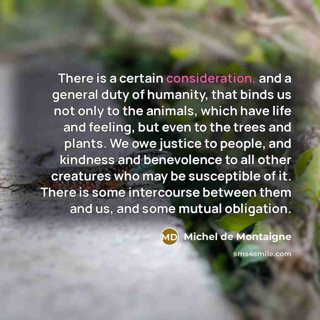 “There is a certain consideration, and a general duty of…” quote by Michel de Montaigne